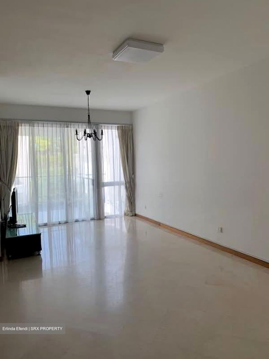 8 @ Mount Sophia (D9), Condominium #572720191